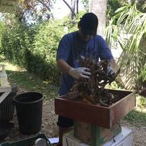Preparing enrichment activities for the animals