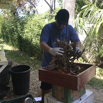 Preparing enrichment activities for the animals