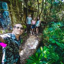 Exploring in the jungle 