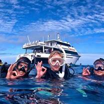 A-okay Diver on the Great Barrier Reef 