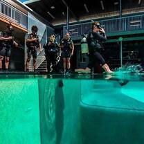 Learning how to enter the water