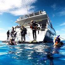 On the liveaboard 
