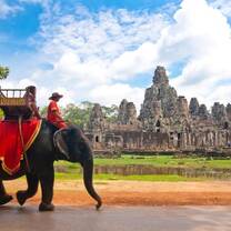 Elephant in Cambodia