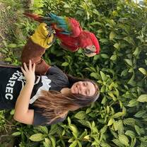 Bar the beautiful Macaw