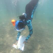 Underwater reef monitoring 