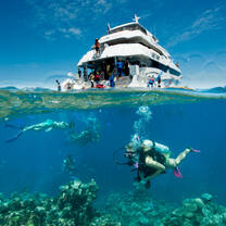 Divers on the GBR