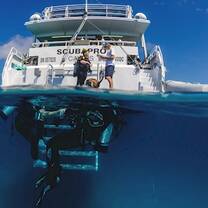 Divers from the liveaboard