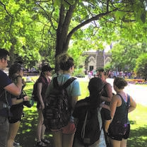 Intern in New Zealand