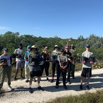 mangrove restoration