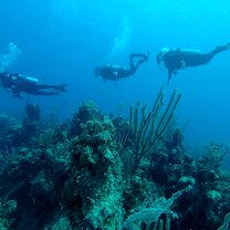 scuba