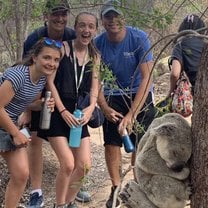 Koala spotting on Magnetic Island