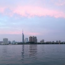 Pink clouds during sunset looking across the water at Fukuoka tower