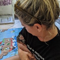 Little monkey sleeping Little monkey sleeping