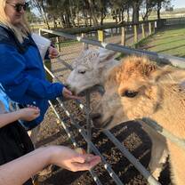 We got to feed animals as well as take care of them.