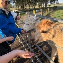We got to feed animals as well as take care of them.