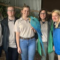 We got to help train the macaw to land on an arm.