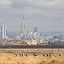 Nairobi city skyline