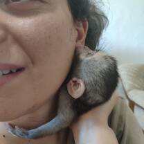 little one