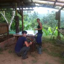volunteering in environmental projects 
