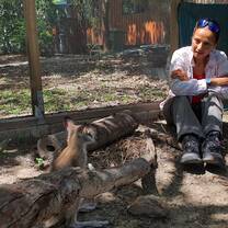 Volunteer observing wildlife