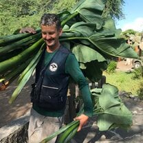 Feeding Otoi leaves to the Giant Tortoises