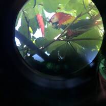 Una naturaleza para enamorarse