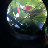 Una naturaleza para enamorarse