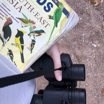 watching birds Here we have identified and documented birds and butterflies