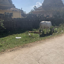 Beautiful photo taken near a local school we teach at.