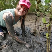 Volunteer digging up a mangrove in the mud 