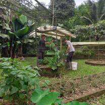 volunteering in environmental projects 