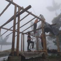 volunteering in environmental projects 