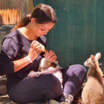 Volunteer feeding wildlife