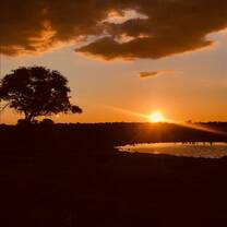 Sunset at the waterhole in Etosha
