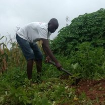 Agriculture work