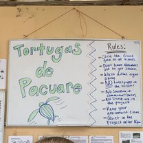 Food from sea turtle camp