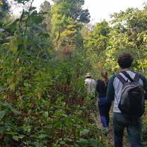 Learn about the forest and its unique diversity