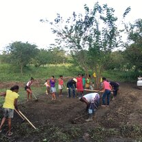 Implementation of the gardens