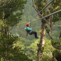 Ziplining! A fun experience that our program put on.