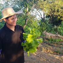 Harvest