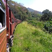 Train journey into the tea estates 