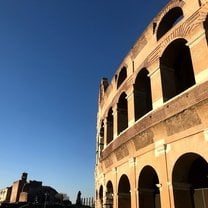 Picture of the colosseum in sunlight. 