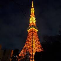 Tokyo Tower  is probably my favorite place in the city