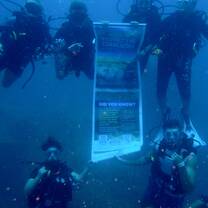 Team Dive!
