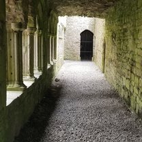 An abandoned abbey