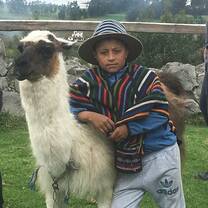 This boy stood outside with his llama to take pictures with people. We stopped here for some delicious Ecuadorian dessert on our way to the biggest market in the country