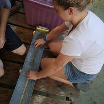 Shark Tagging