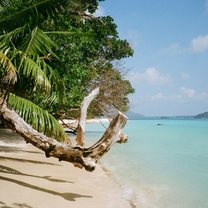 "Our" beach
