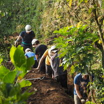 Digging pipelines