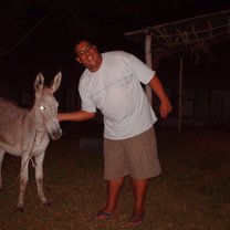 Laska (Our common Donkey)